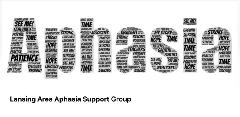 Lansing Area Aphasia Support Group Facebook 12 03 2024 11 04 AM 768x374